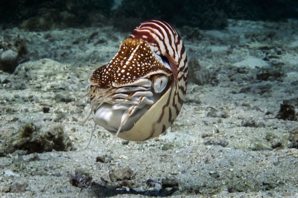 Photograph by Альт Эдуард