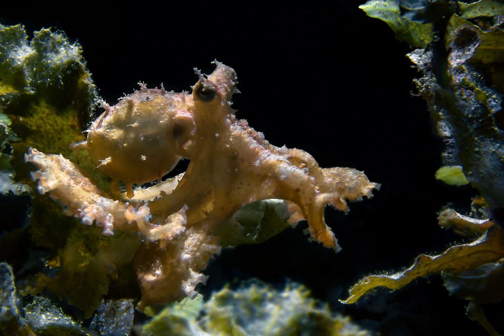 Photograph by Альт Эдуард