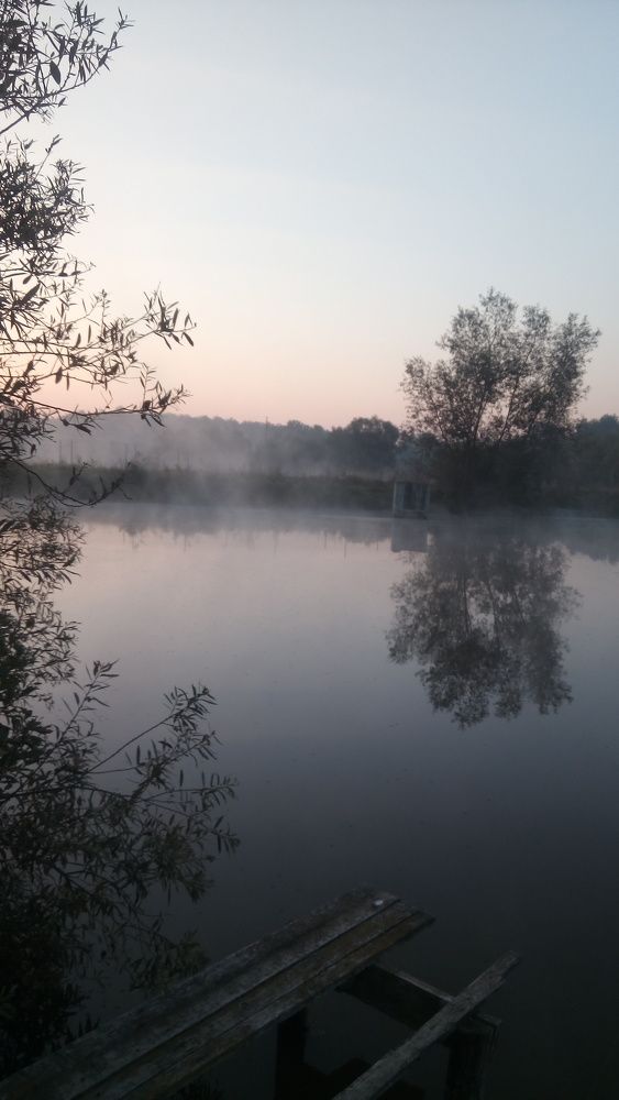 Фотография автора Николай Замковой