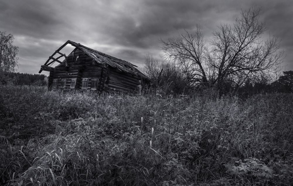 Photograph by Наталия Колтакова