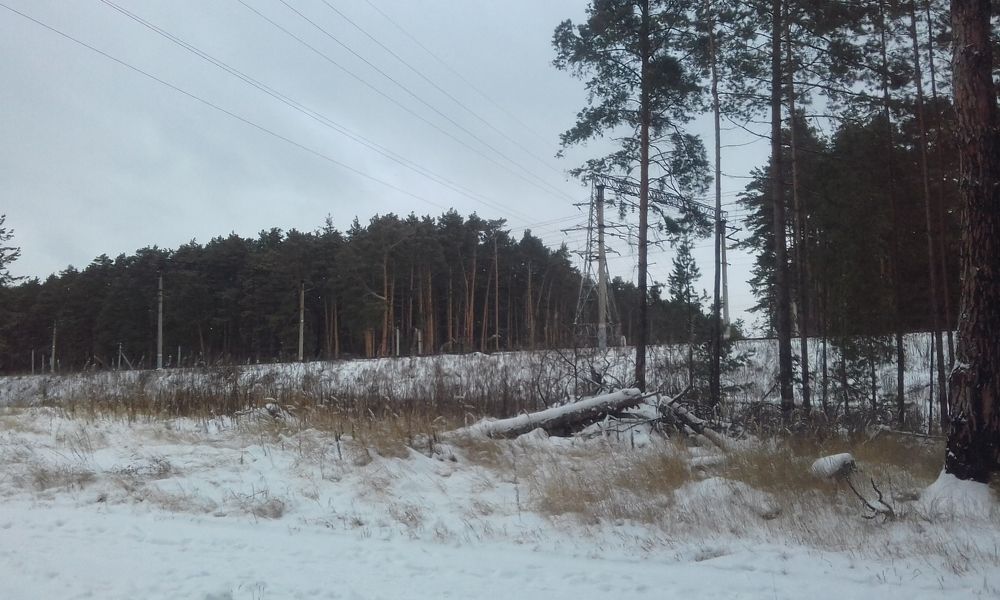 Photograph by Лида