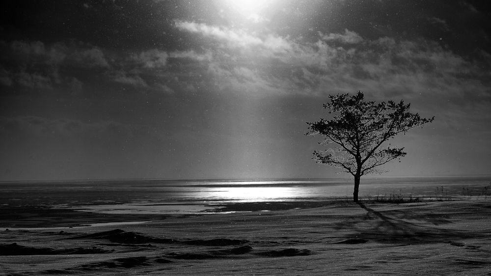 A sun like a moonlight