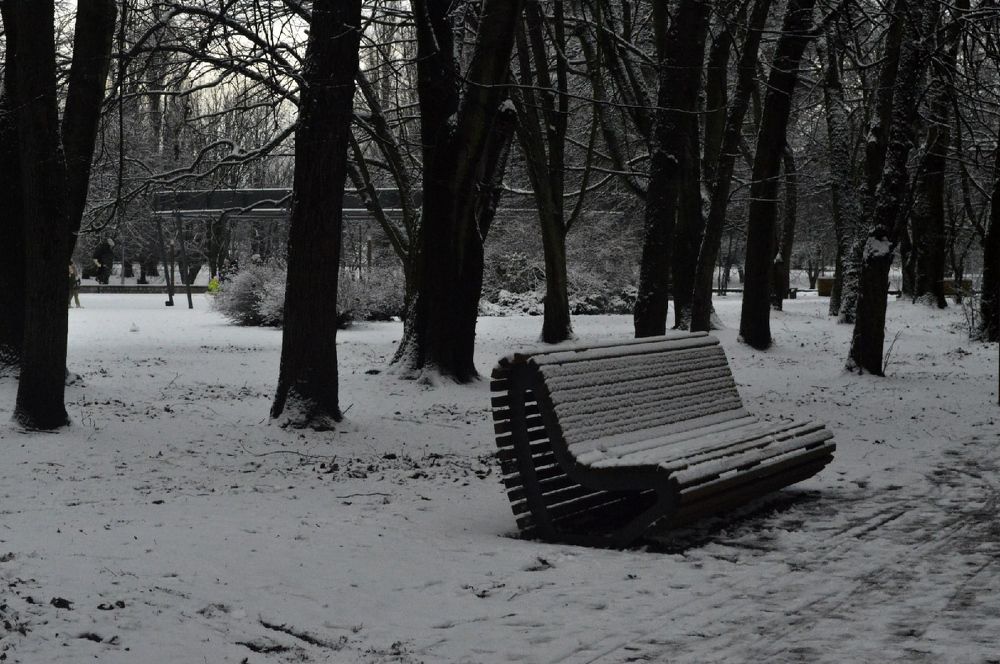 Фотография автора Вероника