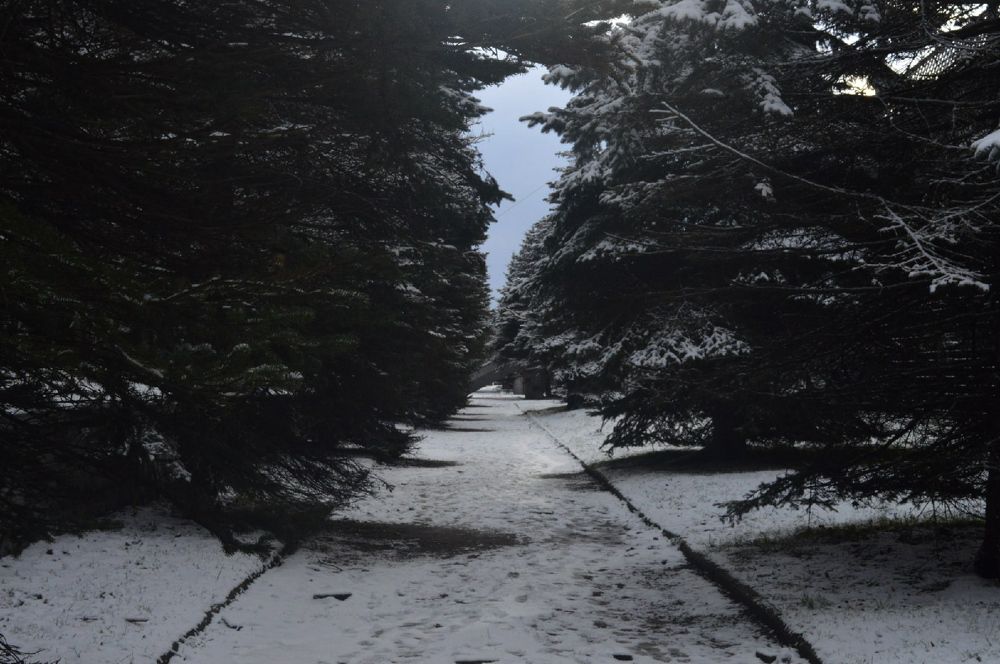 Фотография автора Вероника