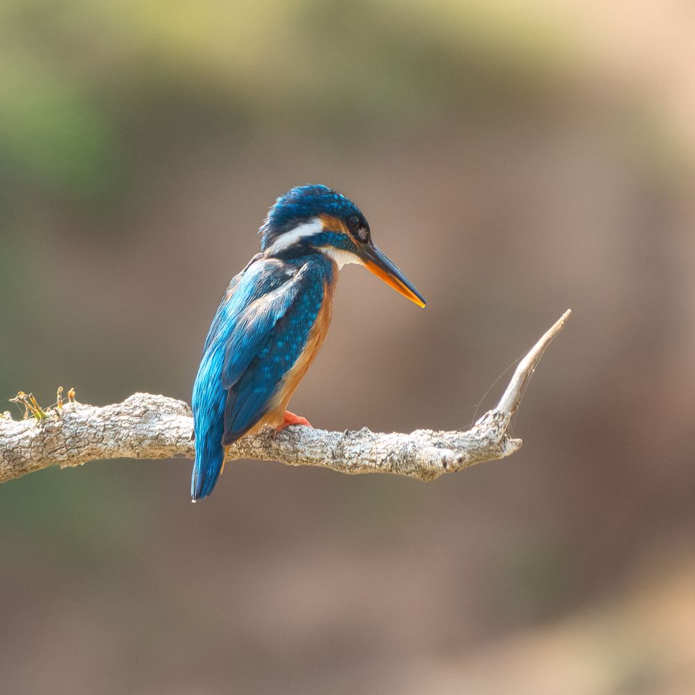 Photograph by Александр Дудников