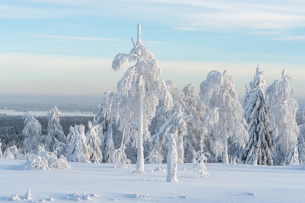 Фотография автора Наталья