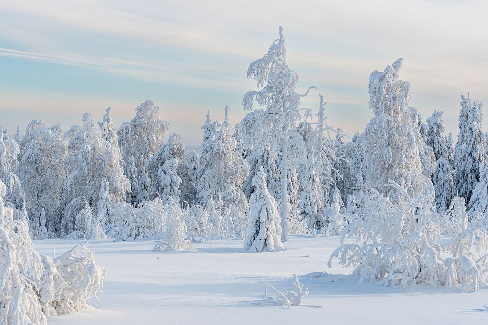 Photograph by Наталья