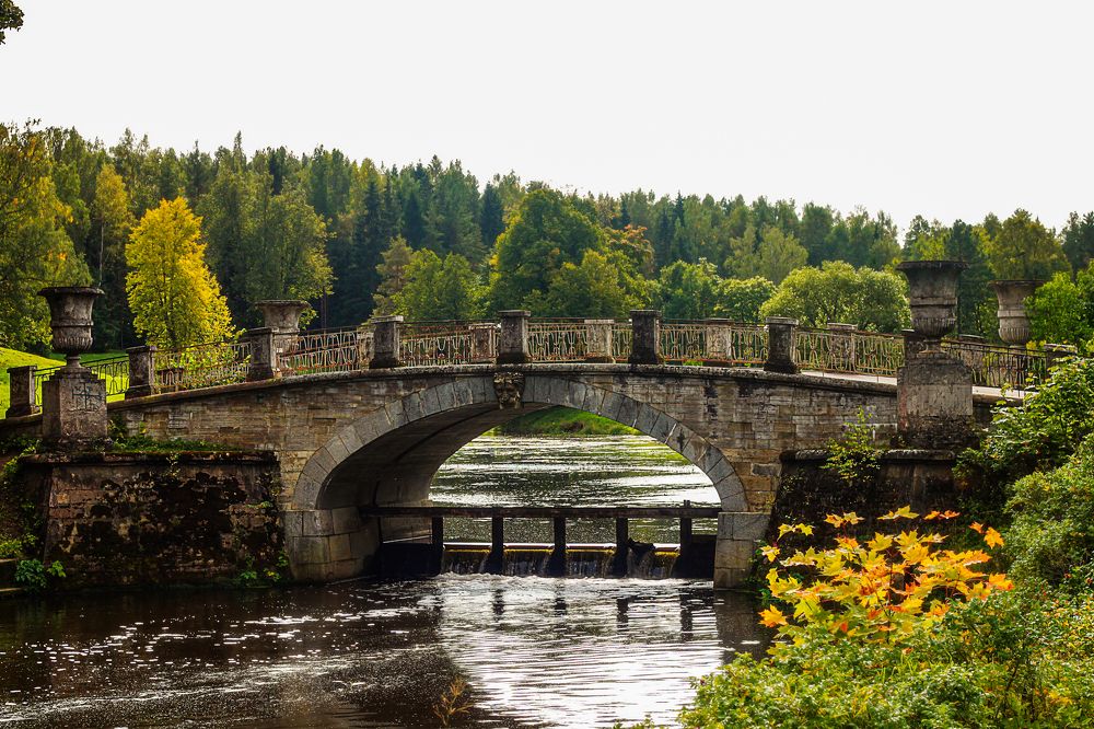 Фотография автора Ольга Левакова