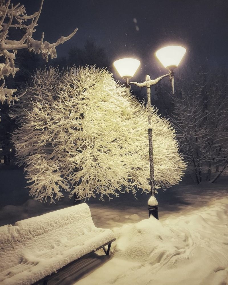 Фотография автора Юлия Таран