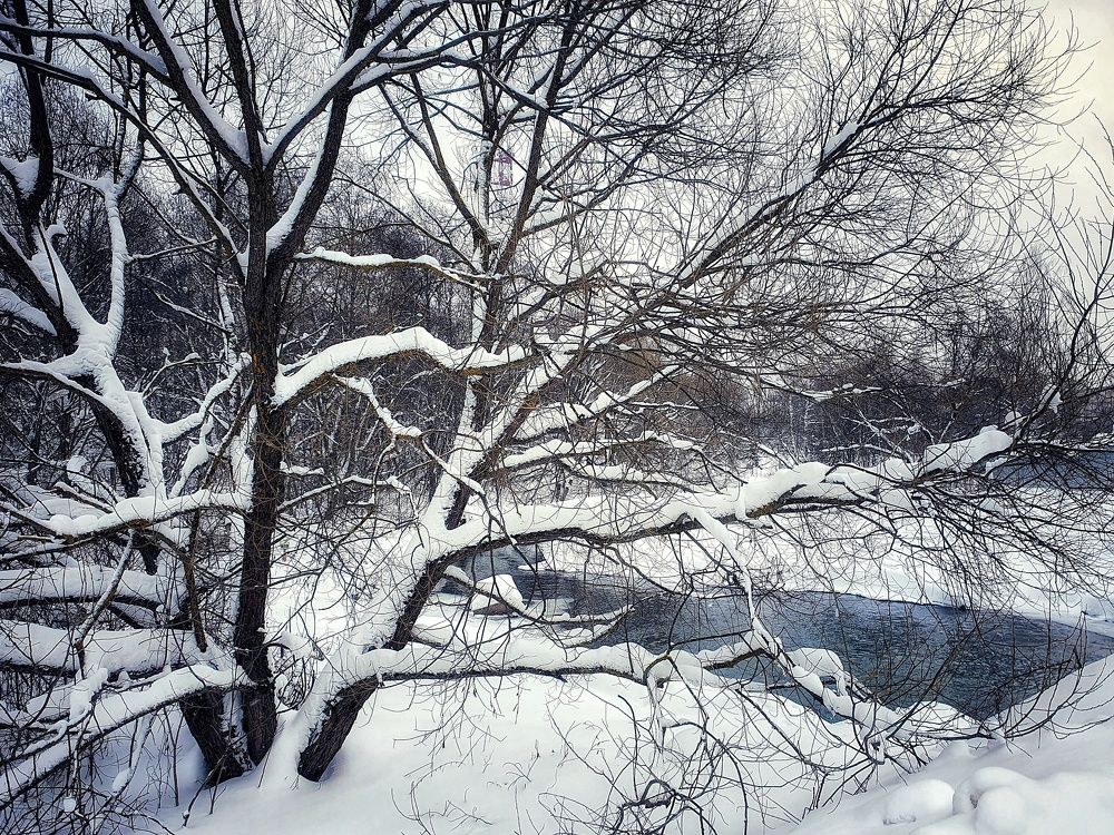 Фотография автора Юлия Таран