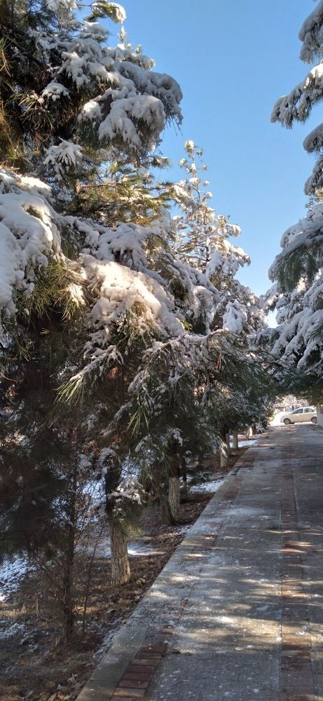 Фотография автора Александр Коновалов