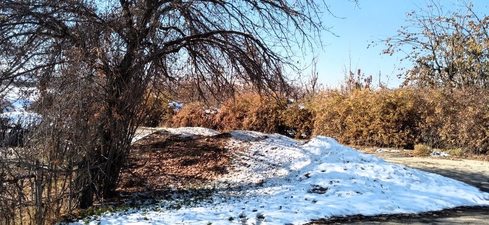 Фотография автора Александр Коновалов