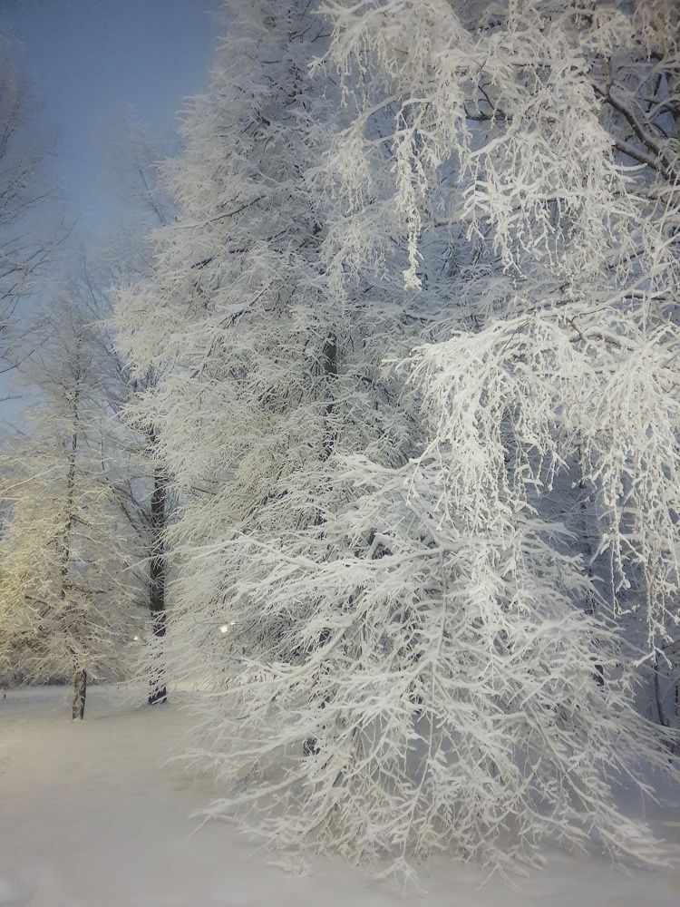 Фотография автора Юлия Таран