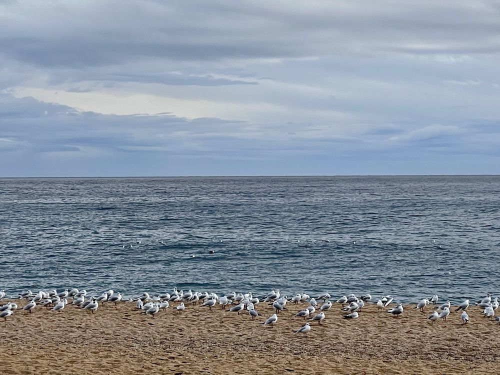 Photograph by Natalia Kravtsova