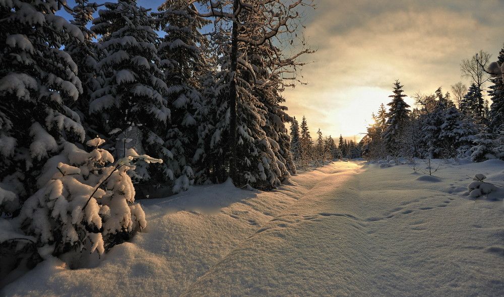 Photograph by Андрей Куликов