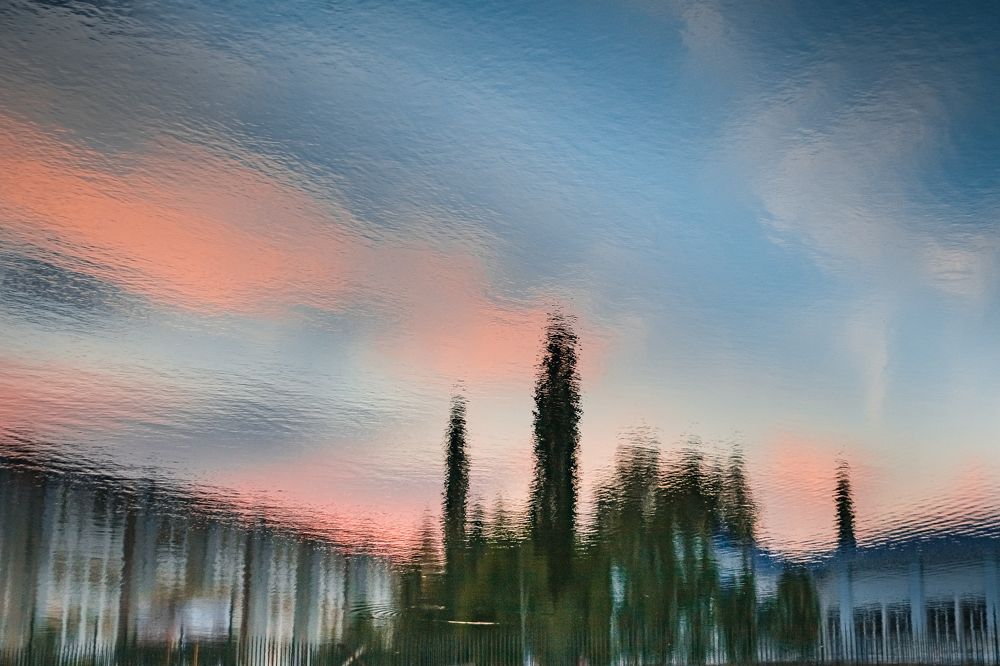 Photograph by Василий Лазарев