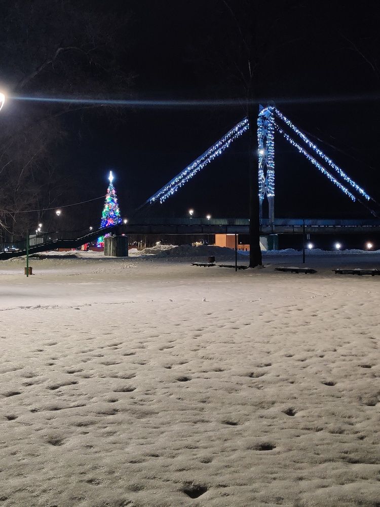 Photo #6965450