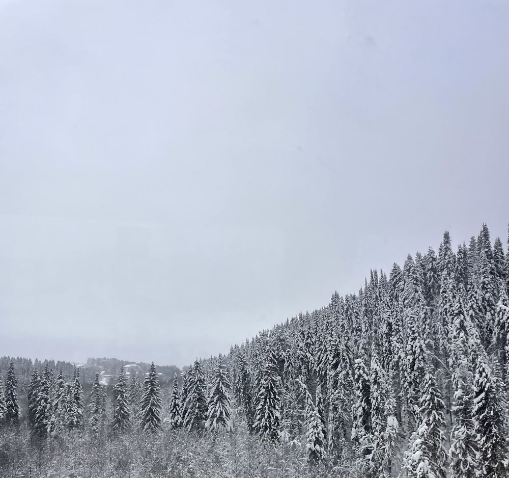 Фотография автора Светлана