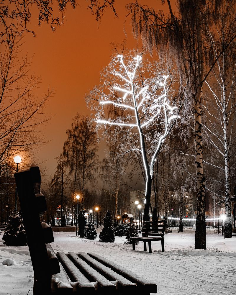 Photograph by Василий Лазарев