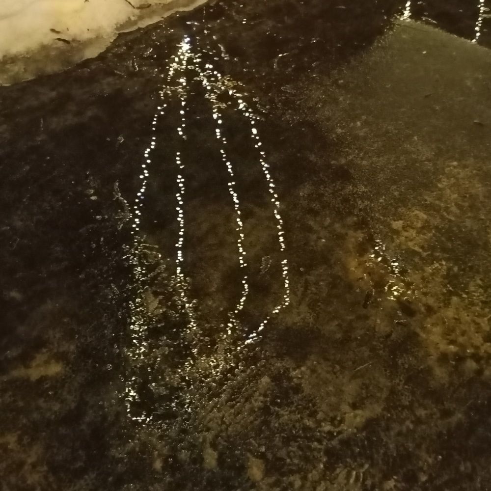 Photograph by Адамян Анна