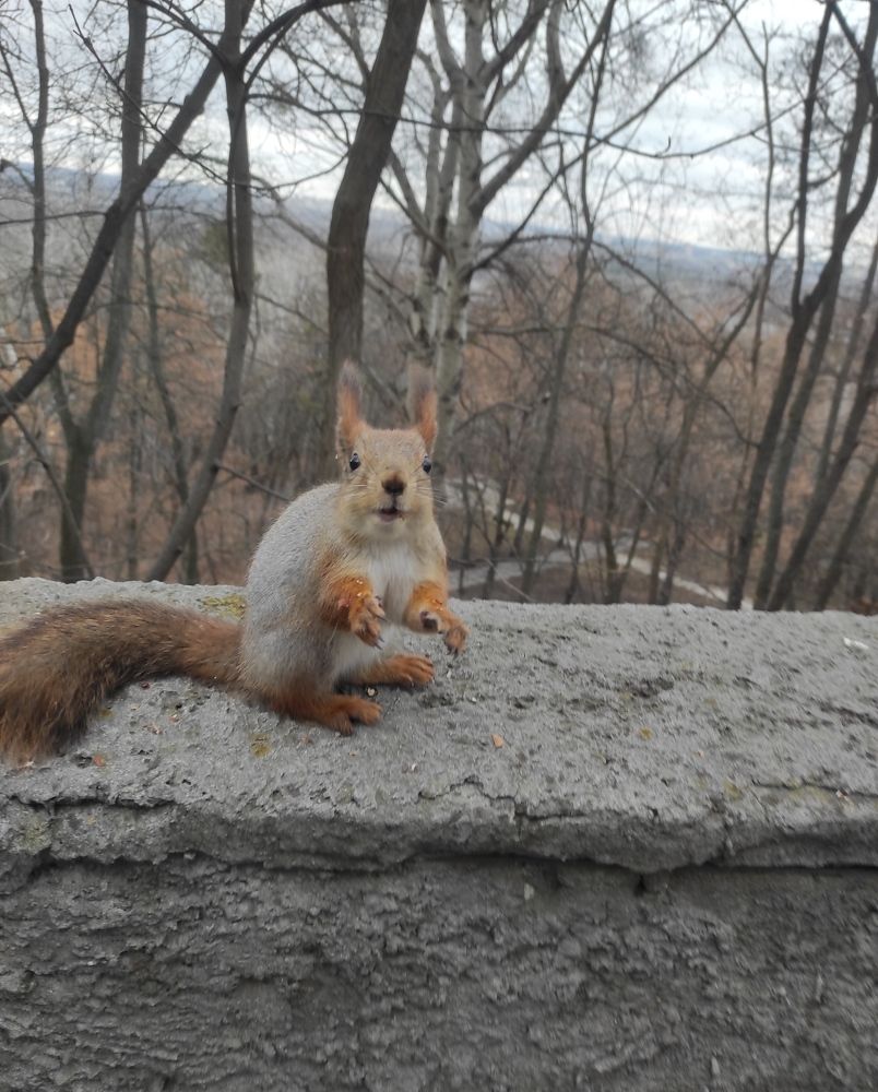 Photograph by Katarina