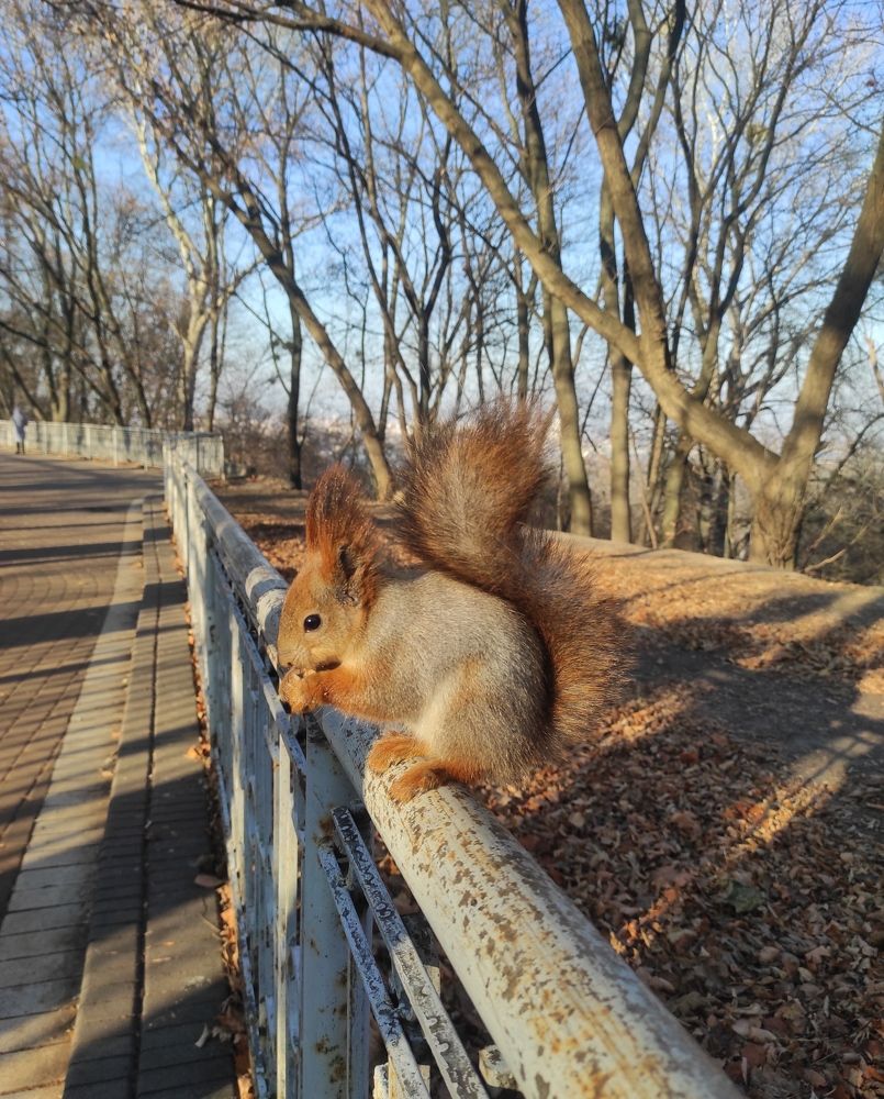 Photograph by Katarina