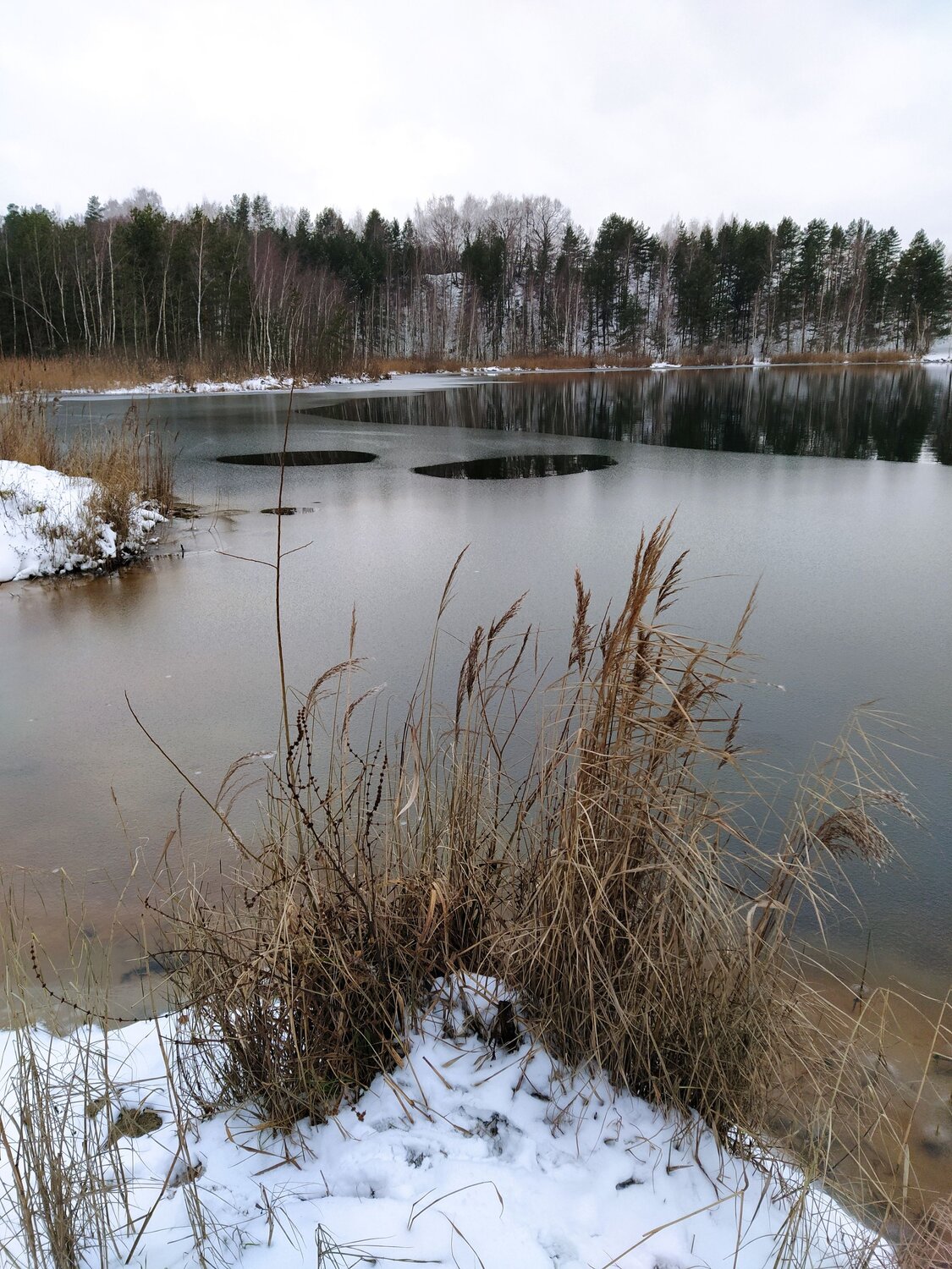 Photo #6965588