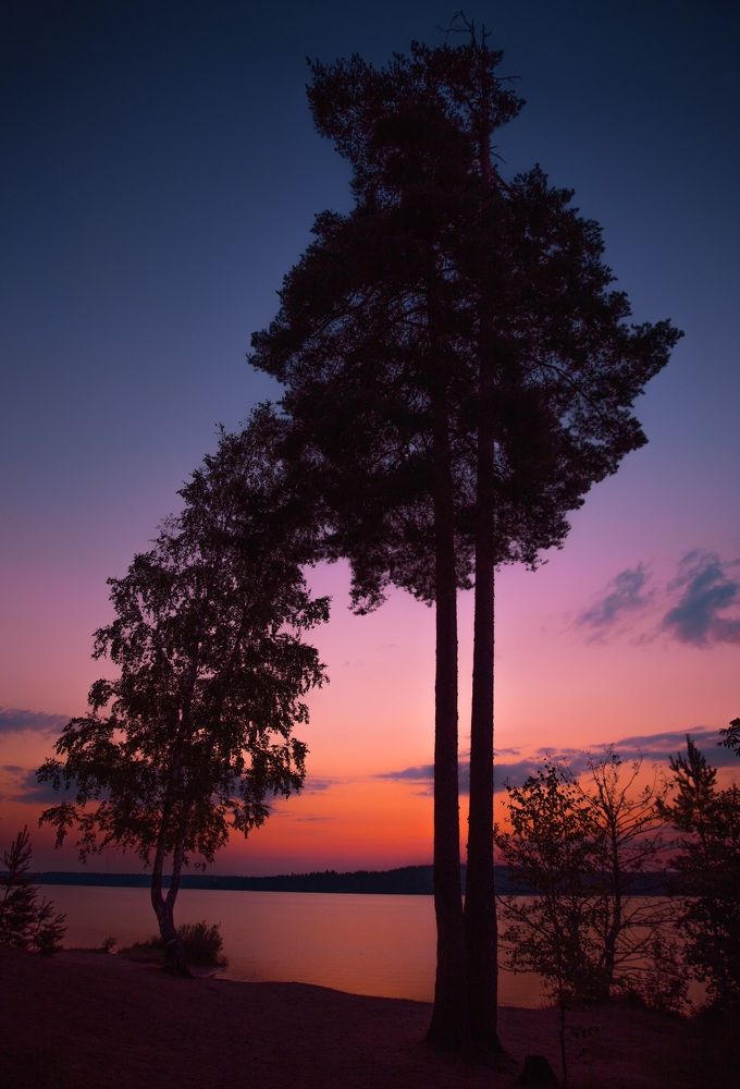 Photograph by Светлана