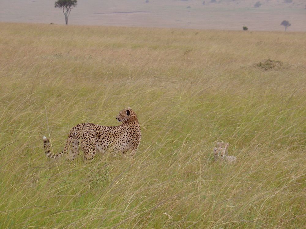 Photograph by Tatiana Serova