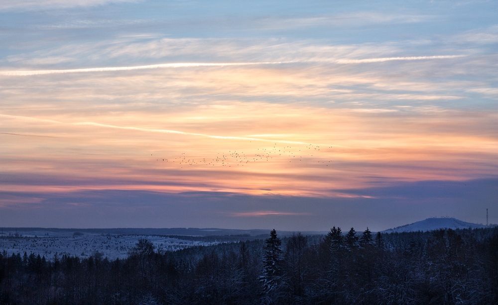 Photograph by Мария Кочурова