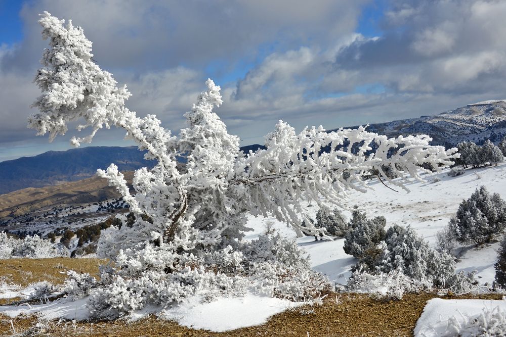 Фотография автора Игорь Ломов