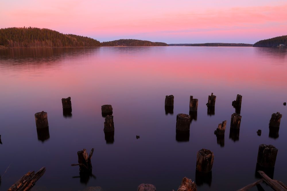 Photograph by Светлана