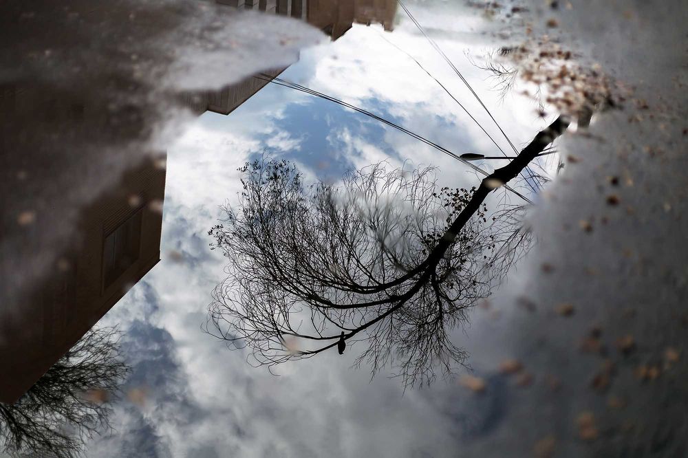 Photograph by Mahmoud Zakeri