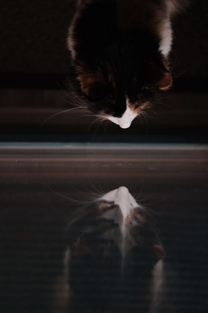 Photograph by Ксения Шабанская