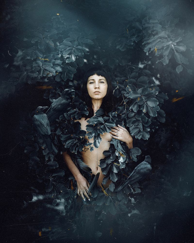 Photograph by Moga Alexandru