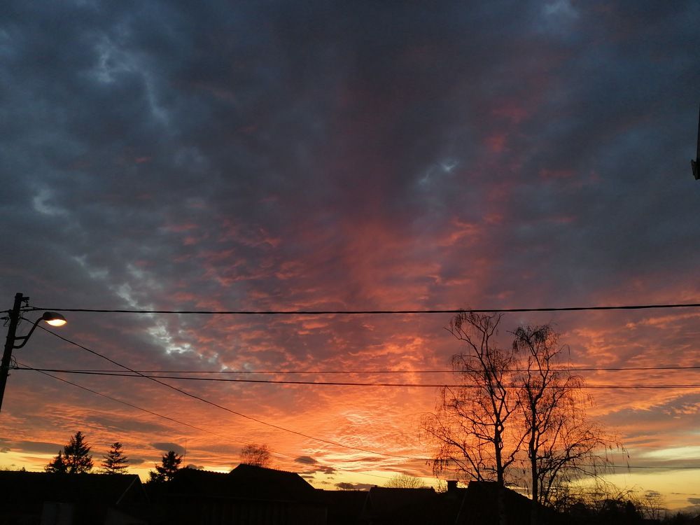 Фотография автора Danica Utjesinovic