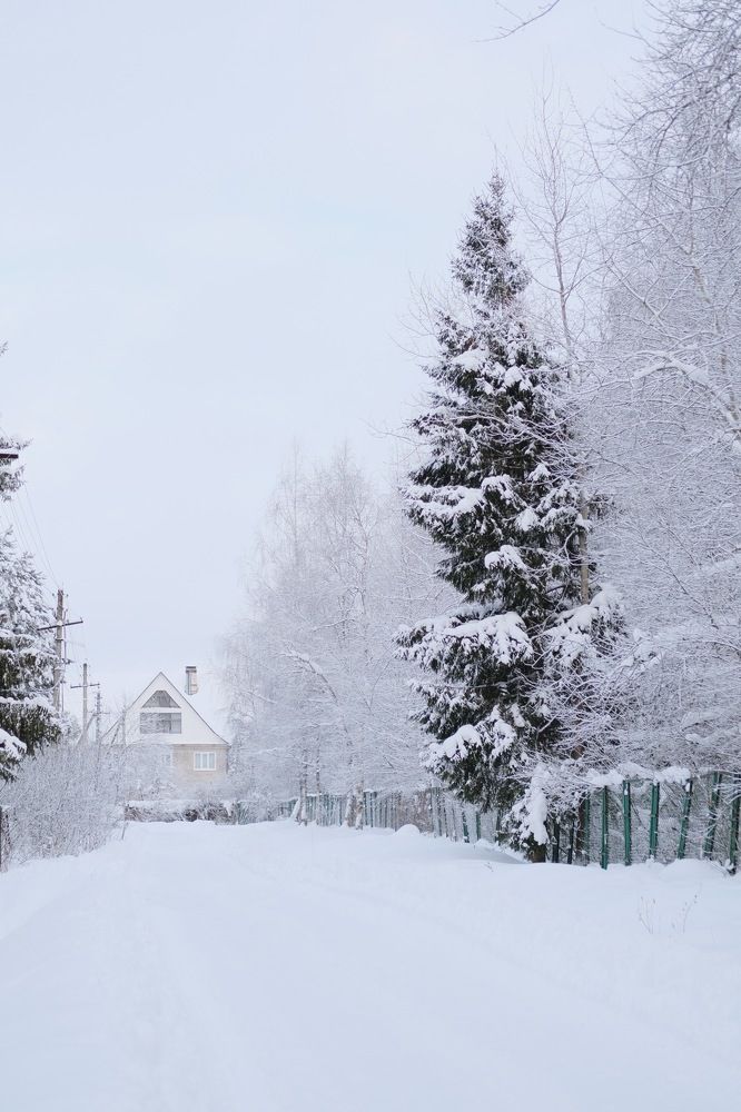 Photograph by Ксения Шабанская