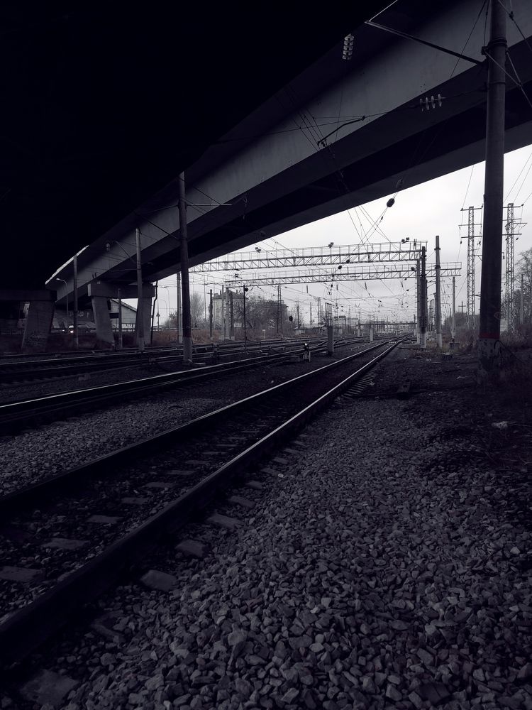 Photograph by Алексей Ларин