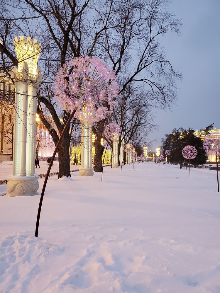 Photograph by Евгения Алексеева