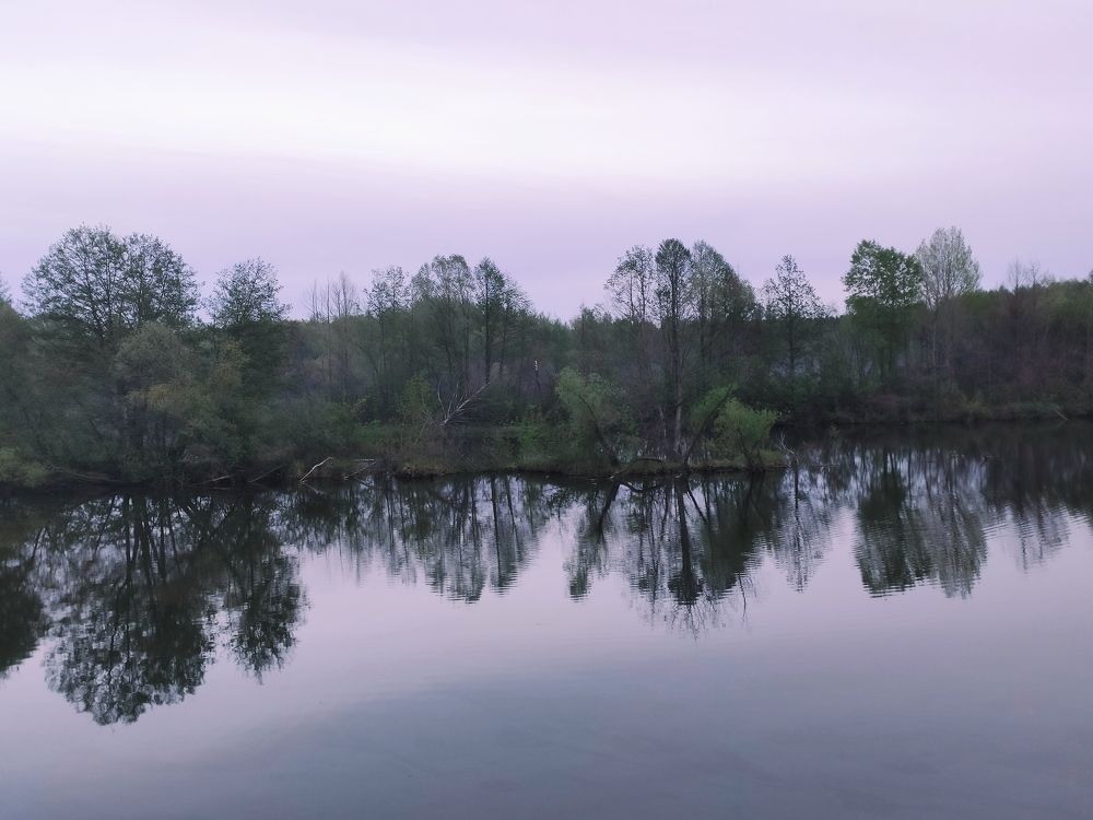 Photograph by Алексей Ларин