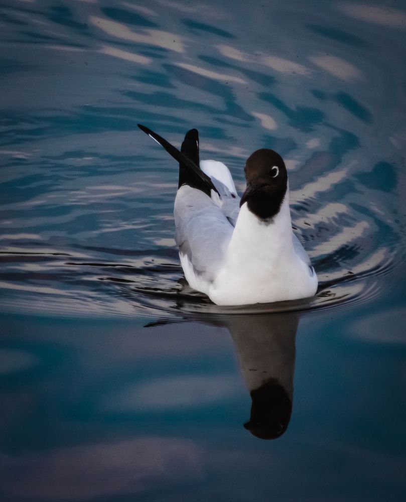 Photograph by Василий Лазарев