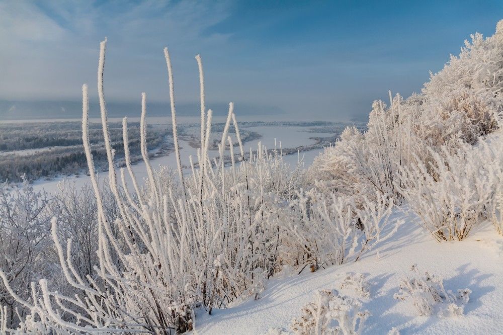 Морозный день.