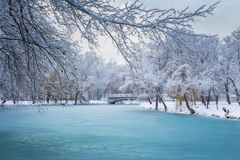 Photograph by Анна Хазова