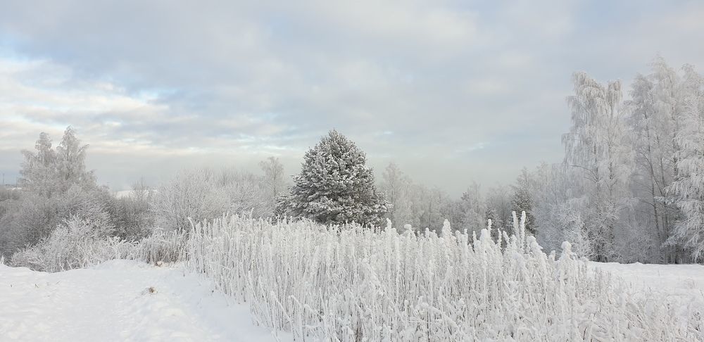 Photograph by Алёна Губинская