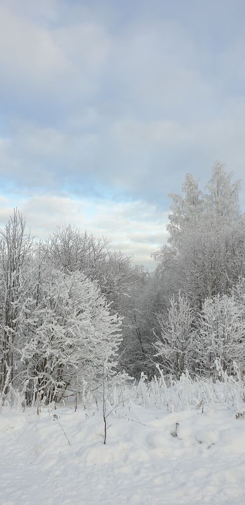Photograph by Алёна Губинская