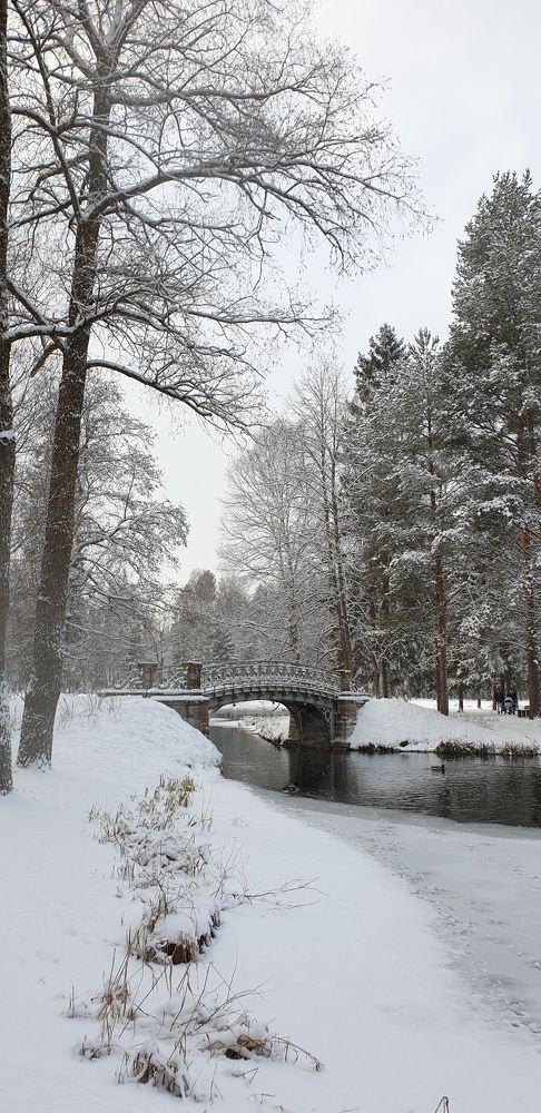 Photograph by Алёна Губинская