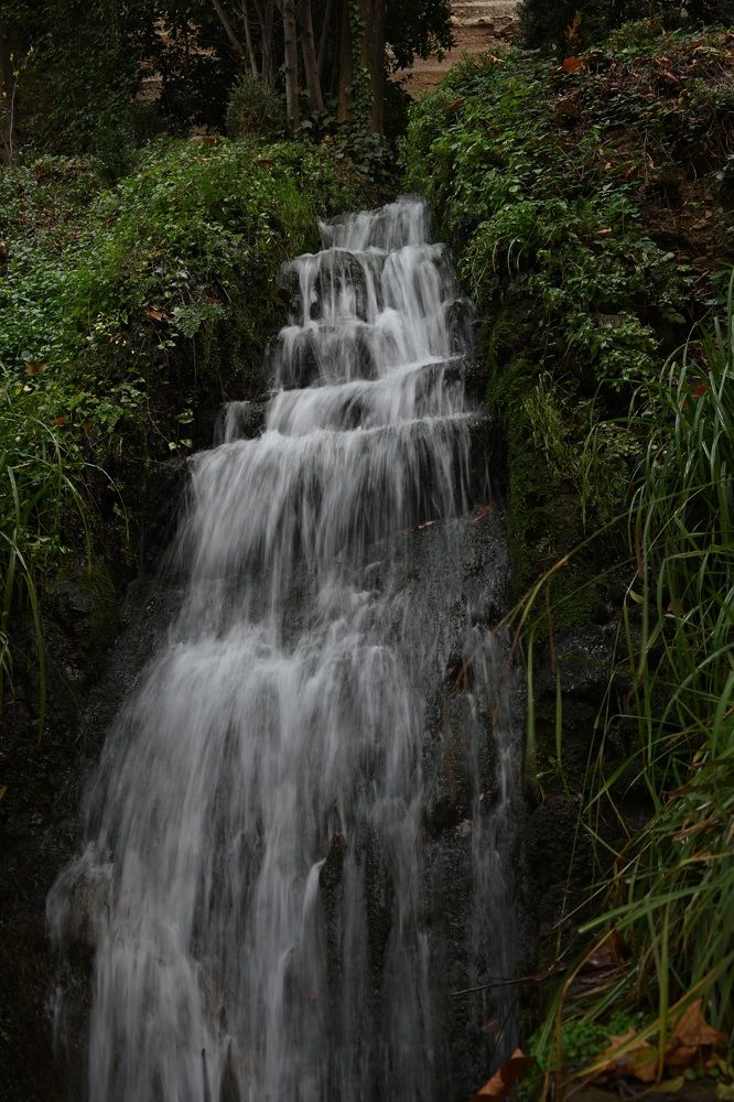 Photograph by Наталья Пирогова