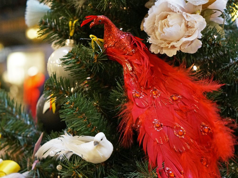 Photograph by Ольга Стоун