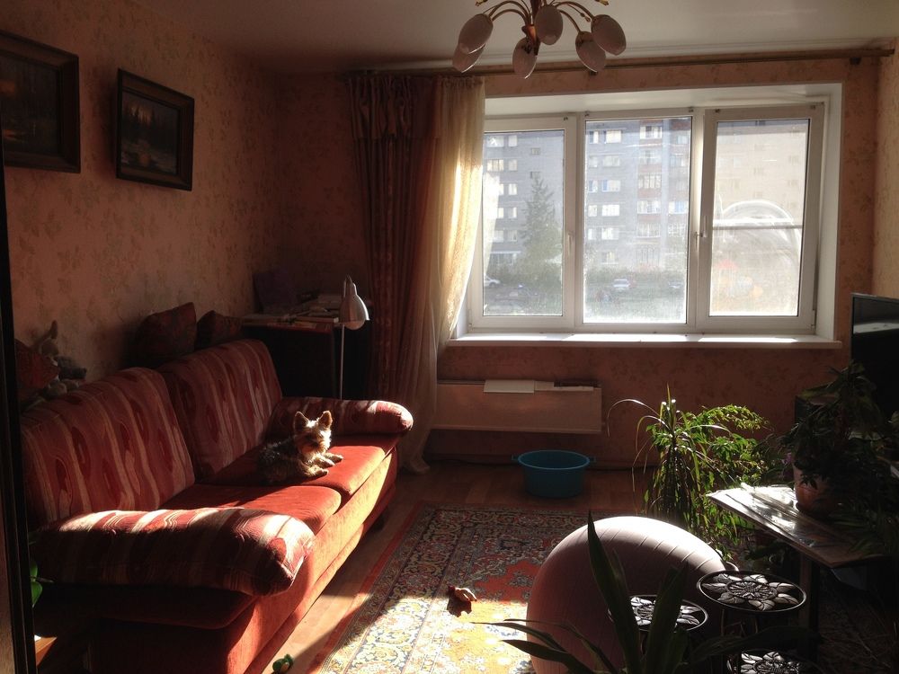 Фотография автора Анастасия