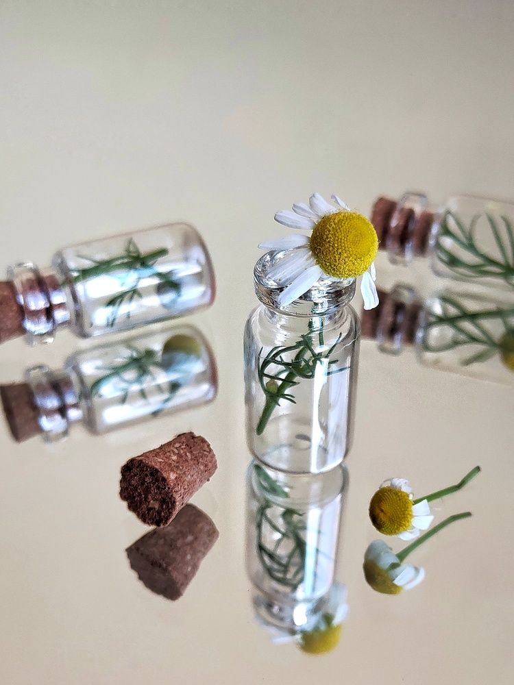 Фотография автора Ольга Игуменова